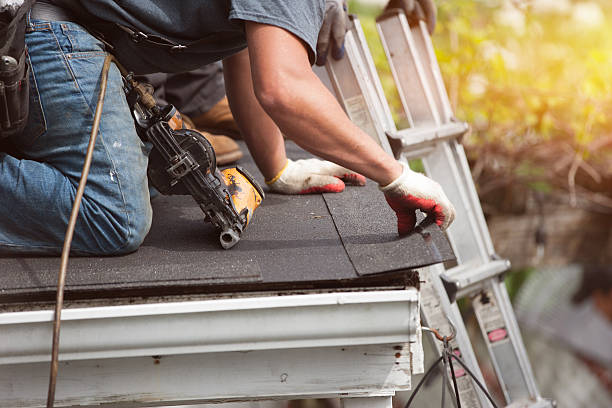 Roof Repair Estimates in Maple Grove, MN